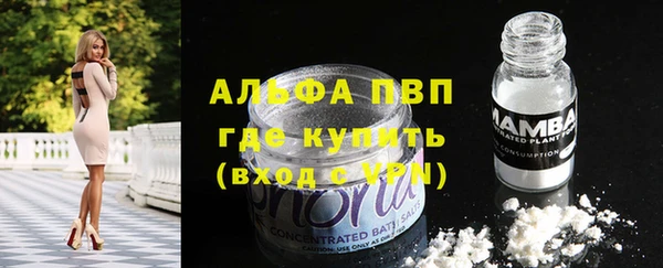 ECSTASY Нея