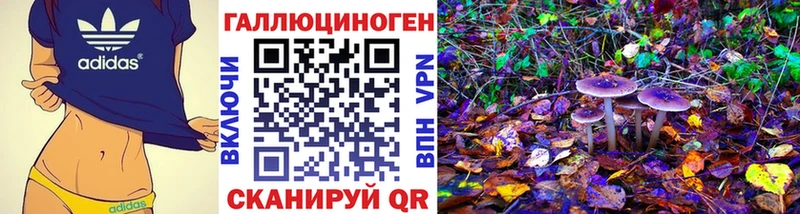 Галлюциногенные грибы Magic Shrooms  Шенкурск 
